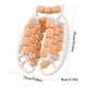 thumbnail image 2 of Rodillo de masaje Rodillo anticelulítico Relajante muscular Pinzas para piernas Masaje de piernas Masaje de piernas, 2 of 2