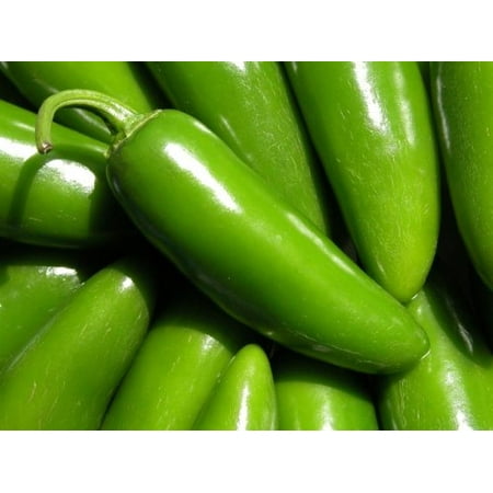 Pepper Hot Jalapeno TAM Mild Great Heirloom Vegetable 100 (Best Way To Preserve Jalapeno Peppers)