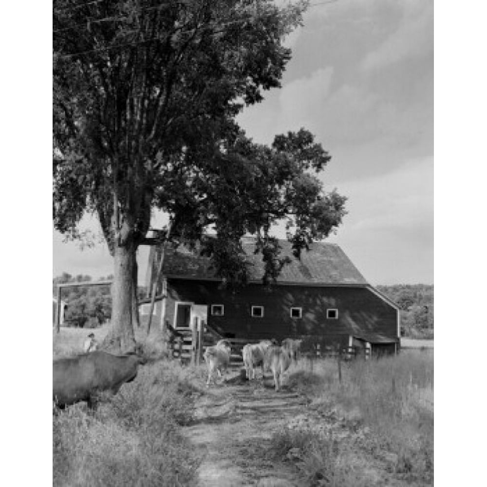 USA Vermont West Newbury farm Poster Print