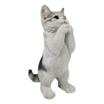 Realistic Begging Feline Shorthair Calico Cat Kitten Figurine With Glass Eyes