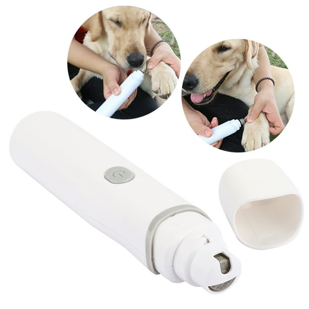 Nail for pet deals