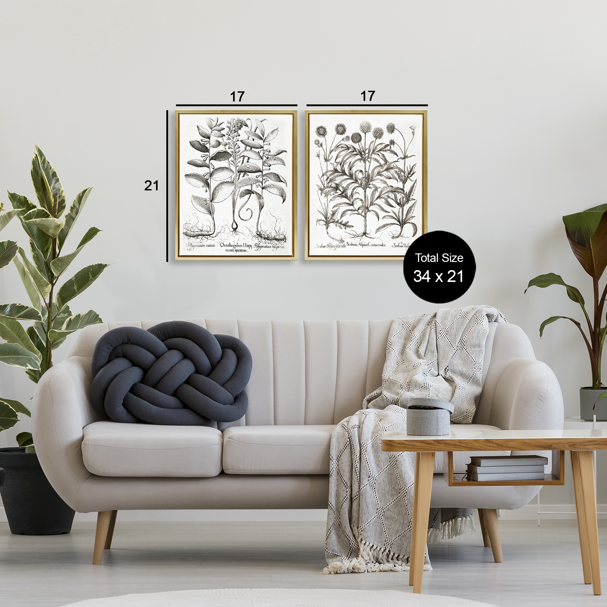 Botanical Root & Plant Studies 2 Piece Gold Framed Floater Canvas Set, design by Lettered and Lined