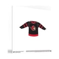 thumbnail image 3 of Gallery Pops NHL Ottawa Senators - Jersey Wall Art Bundle (3-Pack), 3 of 5