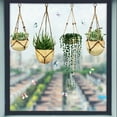 thumbnail image 4 of Langgg Plant Window Sticker Exquisite PVC Indoor Room Decoration Self-adhesive Dual-sided Bonsai Glass Decal Scene Layout Accessory, 4 of 6