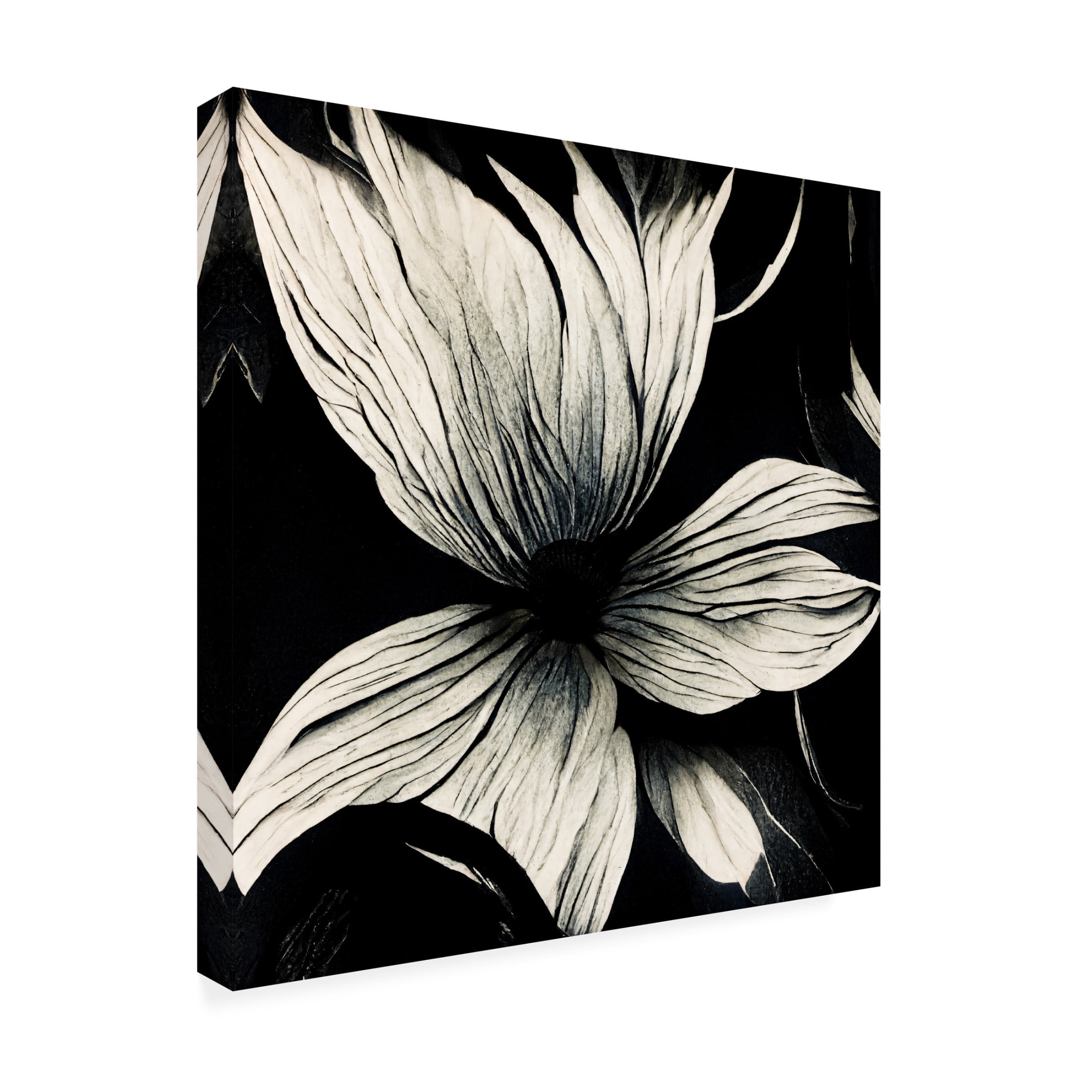 Canvas Wall Art - Ray Heere 'Flowers Black White 10' Wall Art for Living Room, Bedroom, or Office Décor by Trademark Fine Art - 14 x 14 Inches