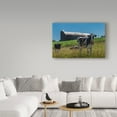 thumbnail image 3 of Trademark Fine Art 'Dairy Farm Rustic' Canvas Art by Brenda Petrella Photography Llc, 3 of 3