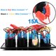 thumbnail image 5 of - Panel de interruptor basculante de 8 interruptores - LED de 12 V/24 V - Pantalla de voltaje digital - Puerto USB dual - Cargador impermeable para RV, barco, automóvil - Rojo Kuyhfg Sin marca, 5 of 5