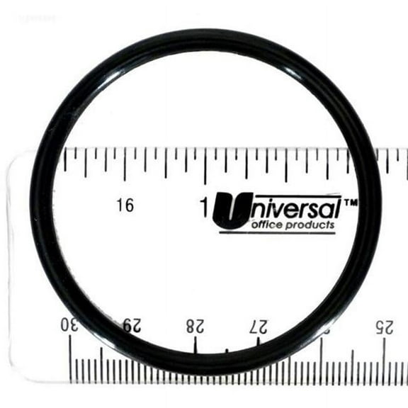 Pentair 155064 O-Ring Standup Replacement Tagelus Pool and Spa Sand Filter