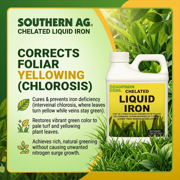 Chelated Liquid Iron - Corrects Yellowing in Plants and Iron Deficiency - 16 fl oz Bottle by Southern AG