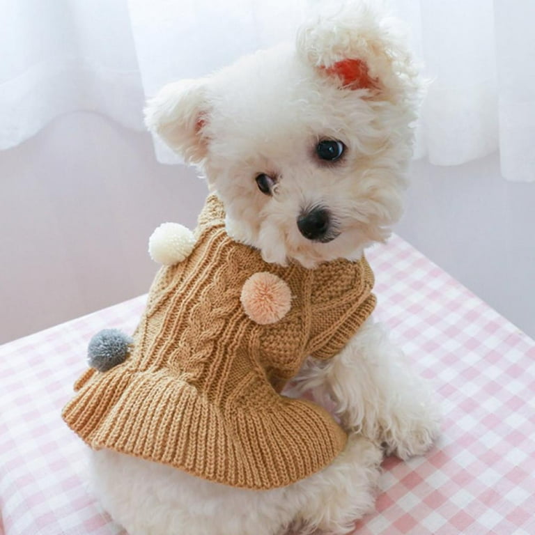  Sweater Cute Cartoon Cat Clothes Autumn and Winter Puppy Dog  Two-Legged Pet Clothing Corgi Designer Dog Clothes A4 S : Pet Supplies