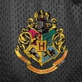 thumbnail image 5 of Harry Potter Hogwarts School Crest Mens Lined Mesh Shorts, Black, 2X-Large, 5 of 6