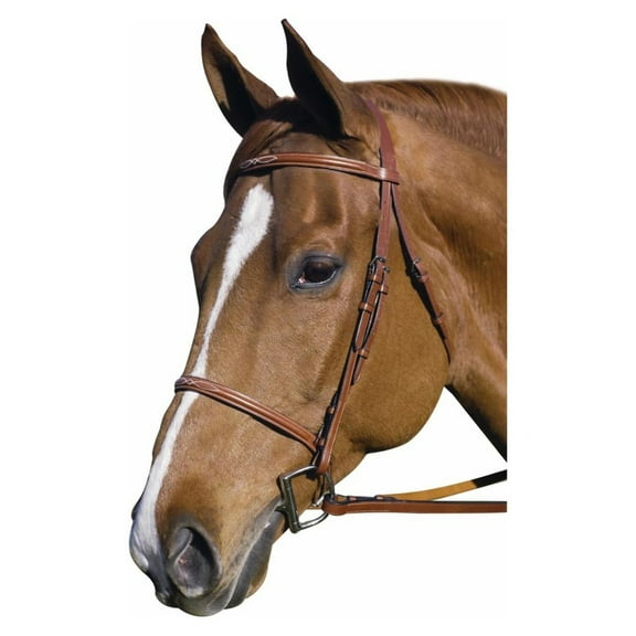 Henri de Rivel Pro Fancy Raised Bridle With Laced Reins - Australian Nut - Cob