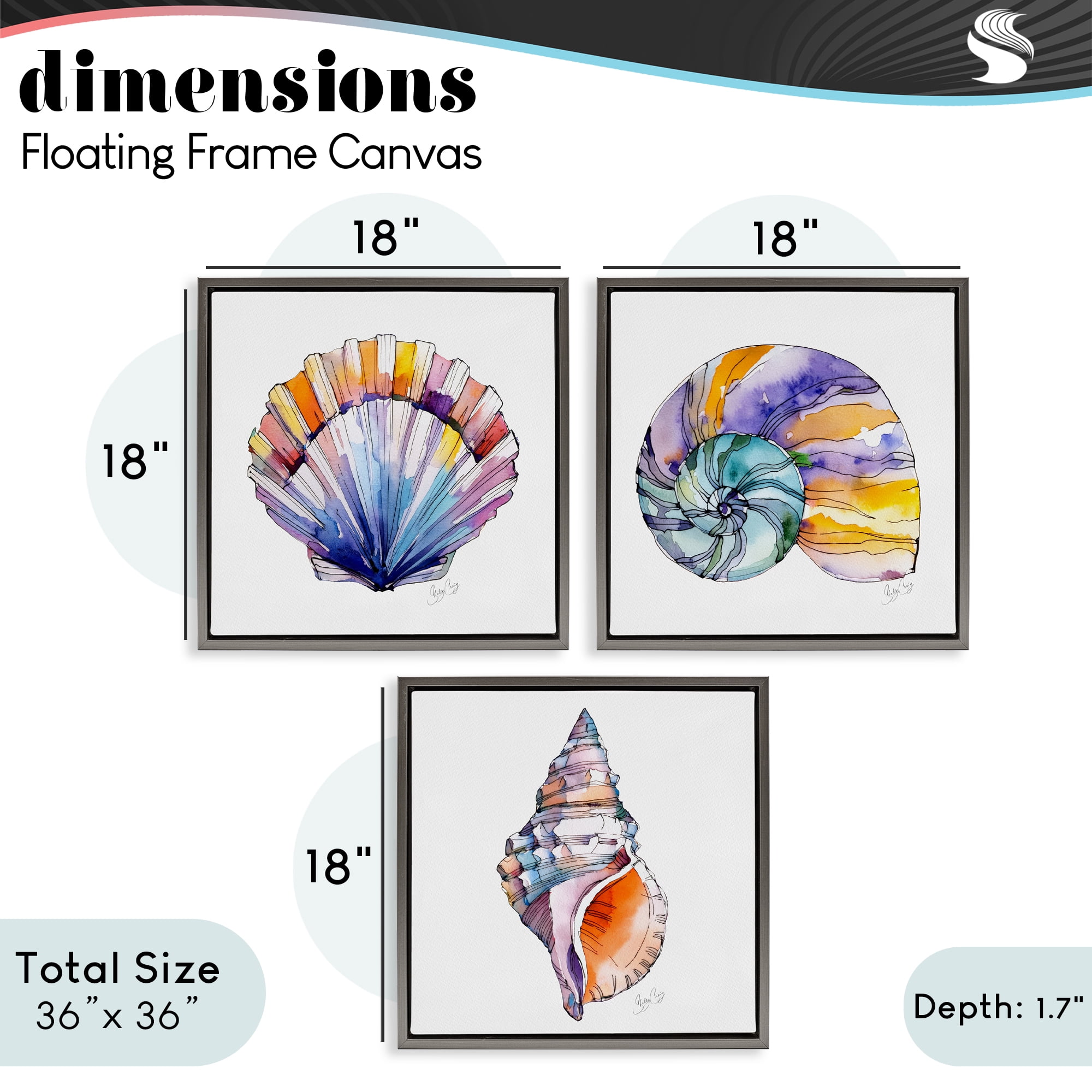 Stupell Industries Sunlit Seashells Watercolors 3 Piece Gray Framed Floater Canvas Set, design by Shelly Craig