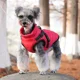 thumbnail image 5 of Psm Nueva ropa para mascotas Chaqueta para perros Abrigo acolchado de algodón Perro pequeño Chaleco con correa de dos pies Pecho Espalda Ropa cálida de invierno, 5 of 5