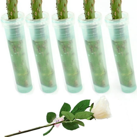 - 1PCS Translucent Green Floral Water Tubes with Cap Fresh Flower Rose Vials for Floral Arrangements