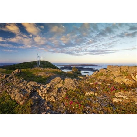 Scenic View of Kodiak Island with Kamchatka Rhododendrons in The Foreground Southwest Alaska Summer Poster Print by Marion Owen - 38 x 24 - Large