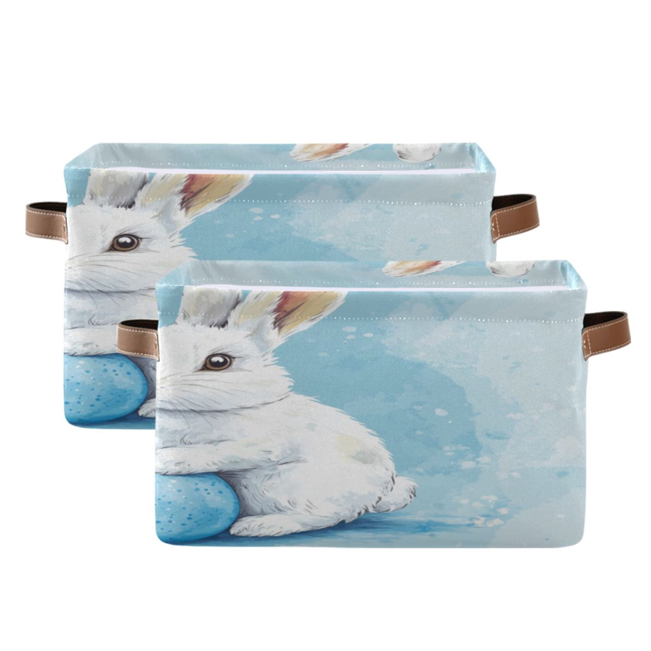 Square Storage Basket 14.2*10.2*8.3 Inch One Sizex2 Shelf Basket Open Home Storage Bins Bedroom Storage Basket Closet Storage Stylish Decor Blue Easter Bunny