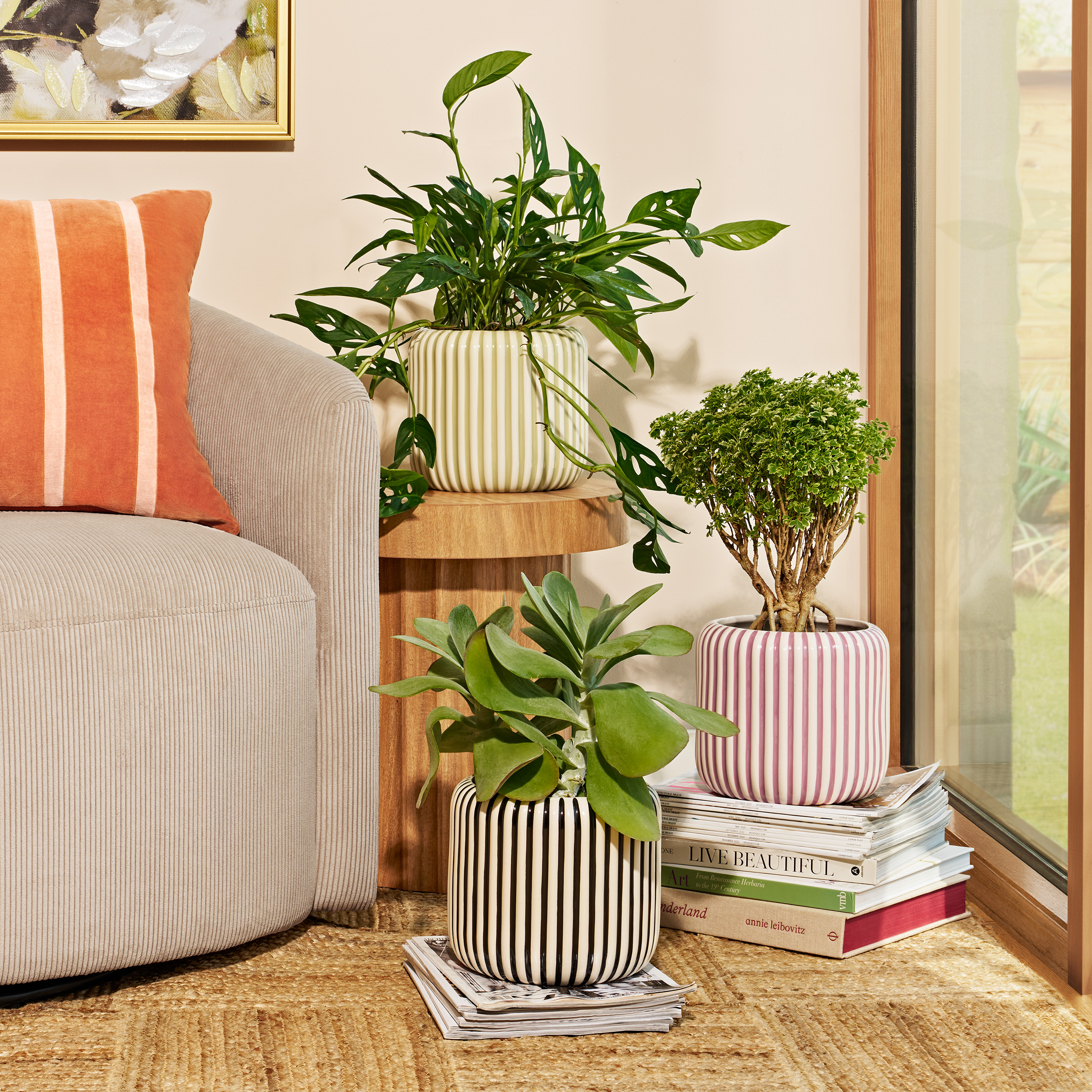 Beautiful by Drew Barrymore Rose Pink Striped Planter, 8 Inch photo 6