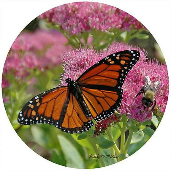 Kathy Miller Butterfly Jar Opener - 3 Pack