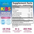 thumbnail image 2 of Kids Immune Support Supplement Gummies - Daily Childrens Vitamins C, Zinc & Echinacea - Gummy for Kids Immune Support, Ages 4 and Up, Natural Berry Flavor, Non-GMO, Gluten-Free & Vegan - 90 Gummies, 2 of 9