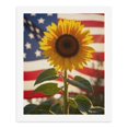 thumbnail image 5 of Paint by Numbers Kit for Adults, Sunflower Against Patriotic Backdrop Paint by Numbers, Easy Paint by Numbers Kit for Adults Beginner, DIY Adult Paint by Number Kits on Canvas, Home Decor, 5 of 7