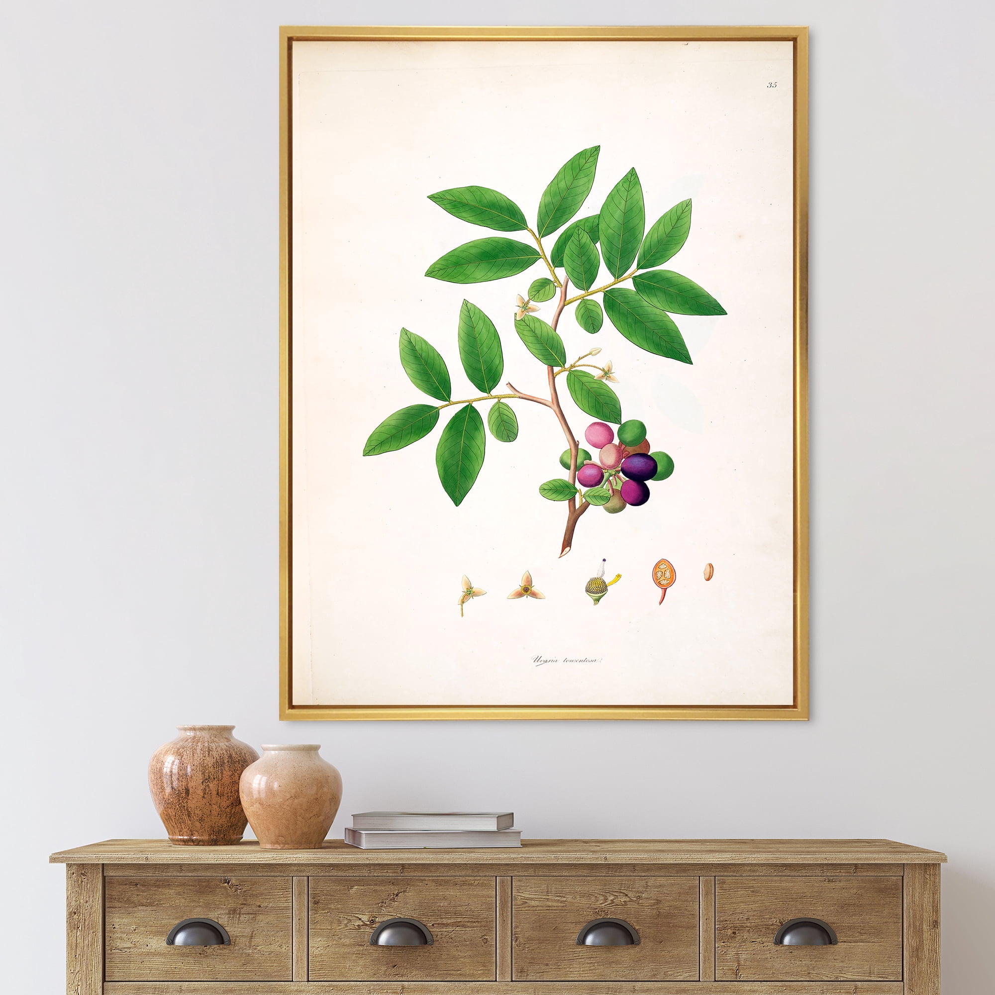 Designart 'Ancient London Plants XI' Farmhouse Framed Canvas Wall Art Print