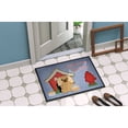 thumbnail image 4 of Carolines Treasures Dog House Collection Pekingnese Fawn Sable Door Mat Indoor Rug or Outdoor Welcome Mat 24x36 Doormat, 4 of 4
