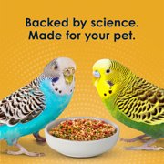 Kaytee Forti-Diet Pro Health Egg-Cite! Nourish+Protect Parakeet Food 5 Pounds