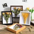 thumbnail image 3 of Shadow Box Picture Frame, Frame for Dried Flowers, 1.2 'Deep Empty Screen Frame (4x6), 3 of 5
