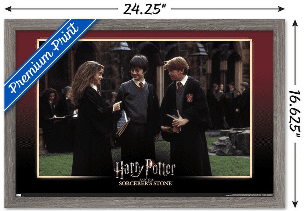 Harry Potter and the Sorcerer's Stone - Friends Wall Poster, 14.725" x 22.375", Framed
