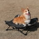thumbnail image 5 of Cama De Marcha Para Perros Cama plegable para perros, cama ligera para mascotas, sofá para acampar (negro) Tmvgtek Para Estrenar, 5 of 7