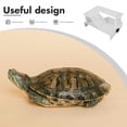 thumbnail image 4 of Plataforma para escalar tortugas, tanque para tortugas, terraza para tomar el sol de doble capa, 4 of 5