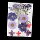 thumbnail image 5 of 2 Bolsas de Flores Secas Reales Naturales, Hojas Prensadas, Artesanías Florales para Bricolaje, Adorno para álbum de Recortes, Fabricación de Tarjetas, 5 of 9