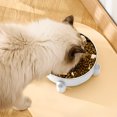 thumbnail image 4 of Stainless Steel Double Layer Pet Bowl with Non-Slip Base | 15cm Cat Food & Water Bowl | Large Capacity Anti-Knockover Design for Cats & Small Dogs, 4 of 6