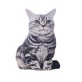 thumbnail image 1 of EeaseCA 1PC Simulated Cat 3D Stereo Throw Pillow Plush Toy Cushion Stuffed Toy (Tiger Grain), 1 of 5