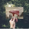 thumbnail image 2 of Great Smoky Mountains, Pink Bear Photo Overlay (4x6 Birch Wood Postcards, 2-Pack Stationary, Rustic Home Wall Decor), 2 of 5