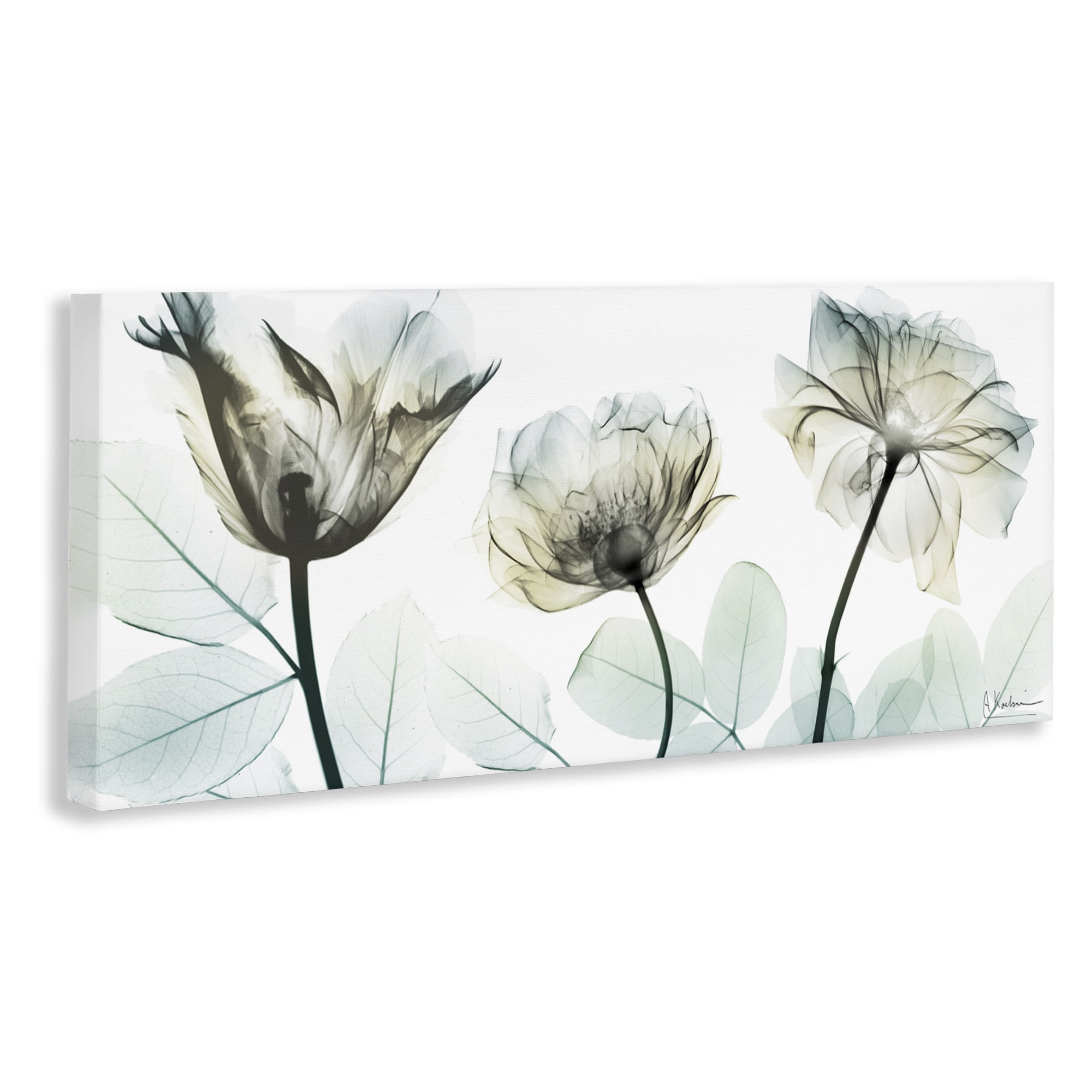 Stupell Industries Jewel of Passion Flowers Canvas Wall Art, design by Albert Koetsier