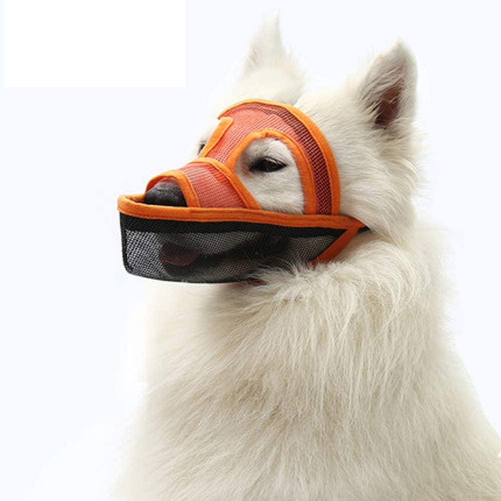 Can A Dog Drink Water Through A Muzzle