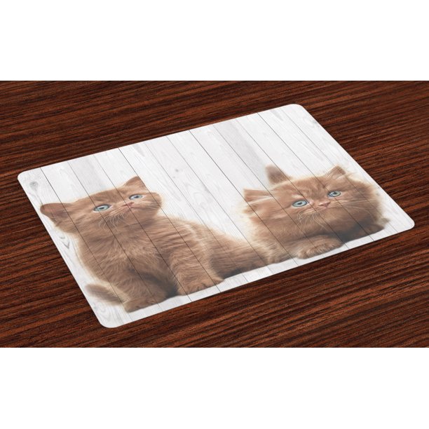 Animal Placemats Set of 4 Cute Kittens Baby Cats Sweet Feline Kids