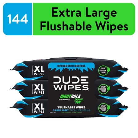 DUDE Wipes MentHOLE XXtreme, Extra Large Flushable Wipes, 48 Count, 3 Pack (144 Total)