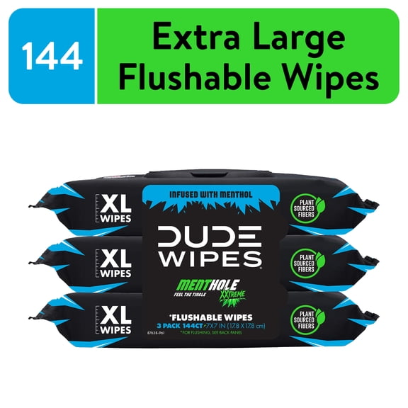 DUDE Wipes MentHOLE XXtreme, Extra Large Flushable Wipes, 48 Count, 3 Pack (144 Total)