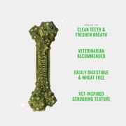 MINTIES Dog Dental Bone Treats, Dental Chews for Large Dogs, 24 Count, Shelf-Stable