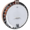 Recording King RK-R20E Songster Resonator Banjo w/ L.R.Baggs Custom Banjo Pickup