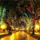 thumbnail image 5 of Guirnalda de luces LED para exteriores, 32/24/16/8 tubos, lluvia de meteoritos, resistente al agua, para fiestas callejeras, decoración de árboles de Navidad, 5 of 5