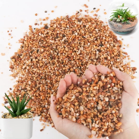 GIXUSIL 2-4mm Coarse Sand Stone,Succulents & Cactus Bonsai Gravel,Decorative Gravel for Plant,Terrarium Filling DIY Gardening Indoor Outdoor Fairy Gardening Garden Decoration, 0.7LB