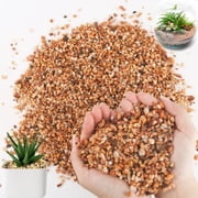 GIXUSIL 2-4mm Coarse Sand Stone,Succulents & Cactus Bonsai Gravel,Decorative Gravel for Plant,Terrarium Filling DIY Gardening Indoor Outdoor Fairy Gardening Garden Decoration, 0.7LB