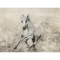 thumbnail image 2 of Brooks, Donna 14x12 Black Ornate Wood Framed with Double Matting Museum Art Print Titled - Majestic Stallion II, 2 of 4