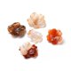 thumbnail image 1 of Natural Agate Pendants Flower Charm 22~27x6mm Hole: 1mm, 1 of 3