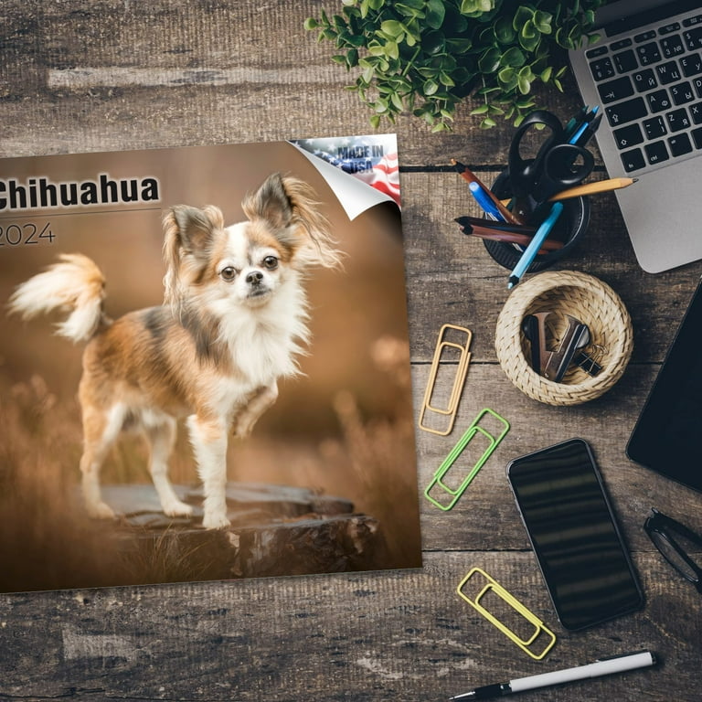 2023 2024 Chihuahua Calendar - Dog Breed Monthly Wall Calendar - 12 x 24  Open - Thick No-Bleed Paper - Giftable - Academic Teacher's Planner Calendar  Organizing & Planning - Made in USA - Walmart.com