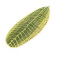 thumbnail image 1 of Coofit Tapis de Sol Absorbant Antidérapant pour Tapis de Sol, 1 of 9